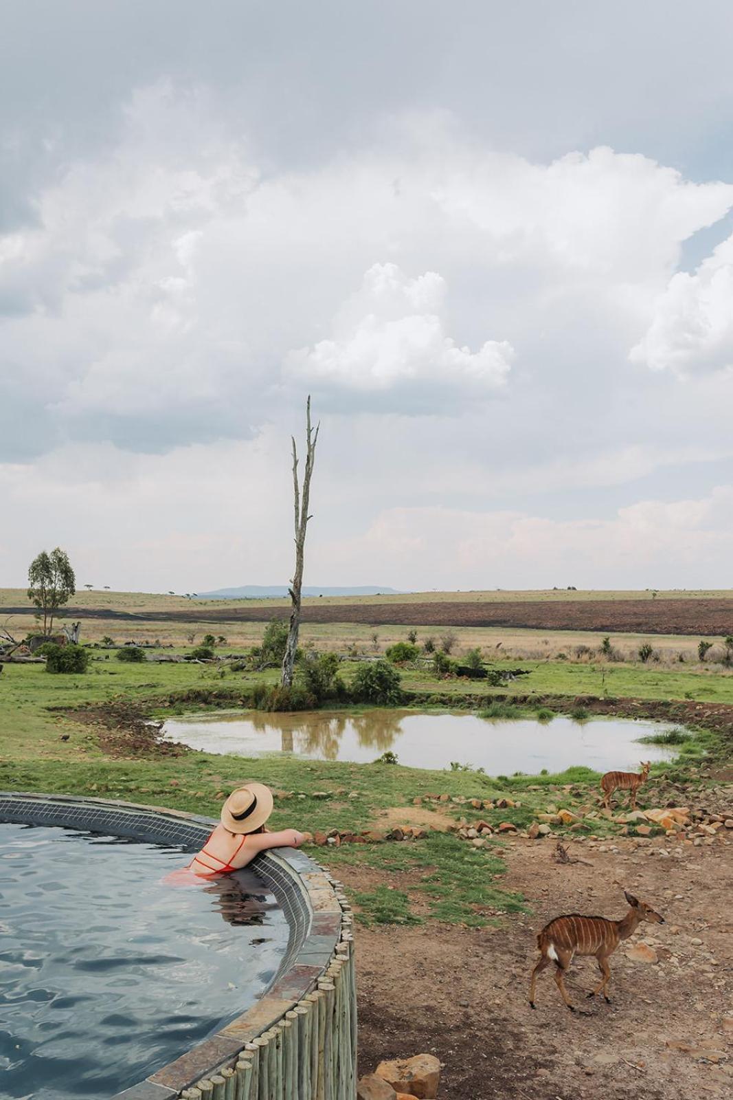 Nambiti Plains Lodge 莱迪史密斯 外观 照片