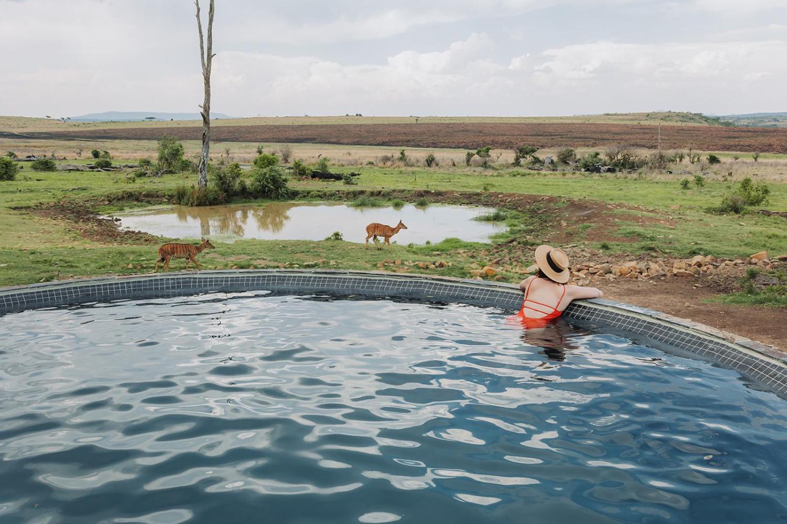 Nambiti Plains Lodge 莱迪史密斯 外观 照片
