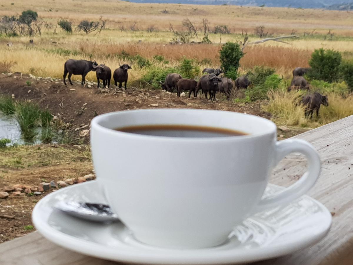 Nambiti Plains Lodge 莱迪史密斯 外观 照片