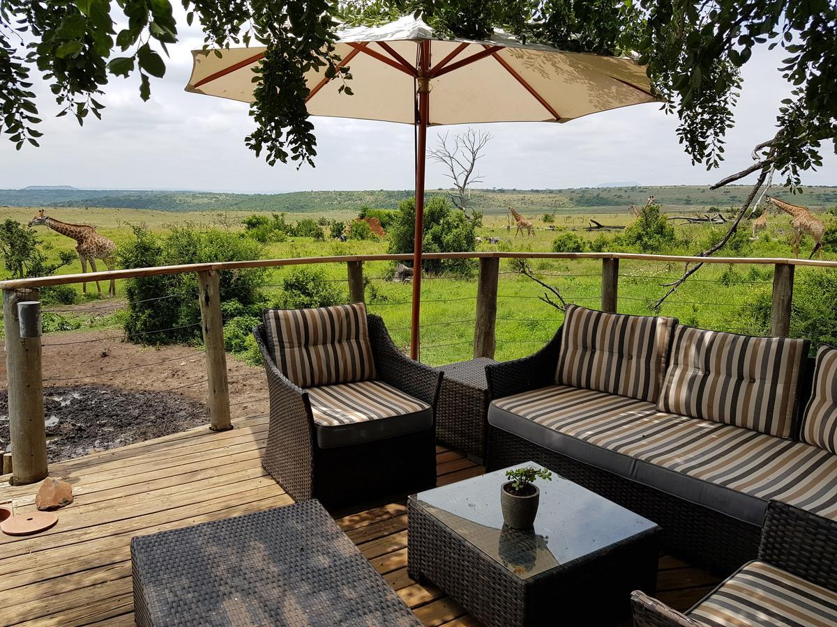 Nambiti Plains Lodge 莱迪史密斯 外观 照片