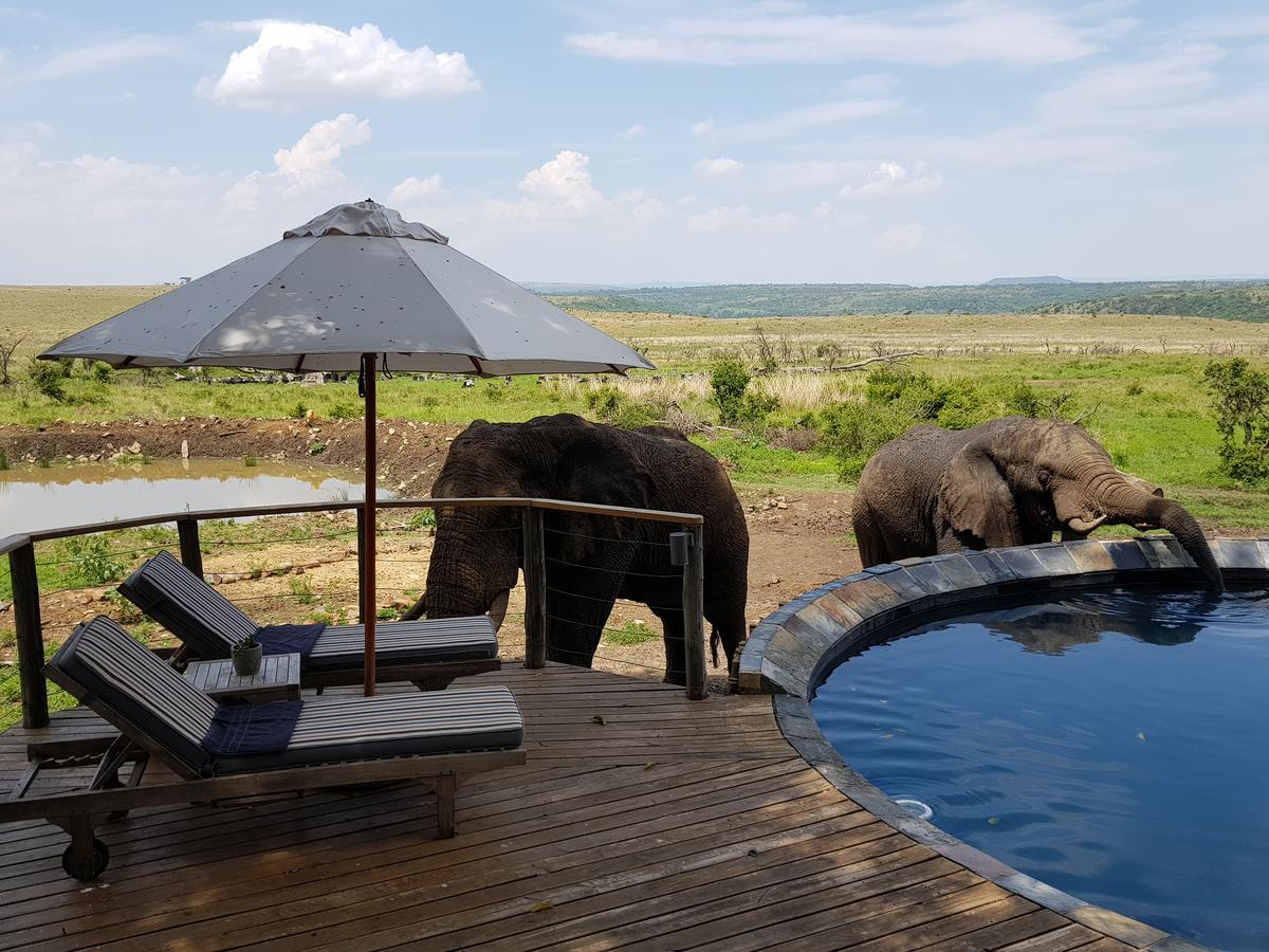Nambiti Plains Lodge 莱迪史密斯 外观 照片